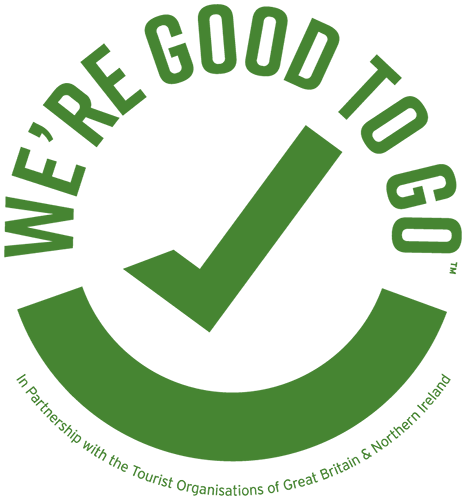 Good to go logo